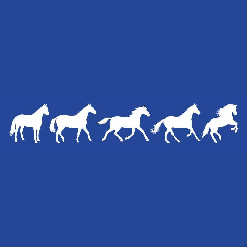 ! Evolution Pferd in Bewegung