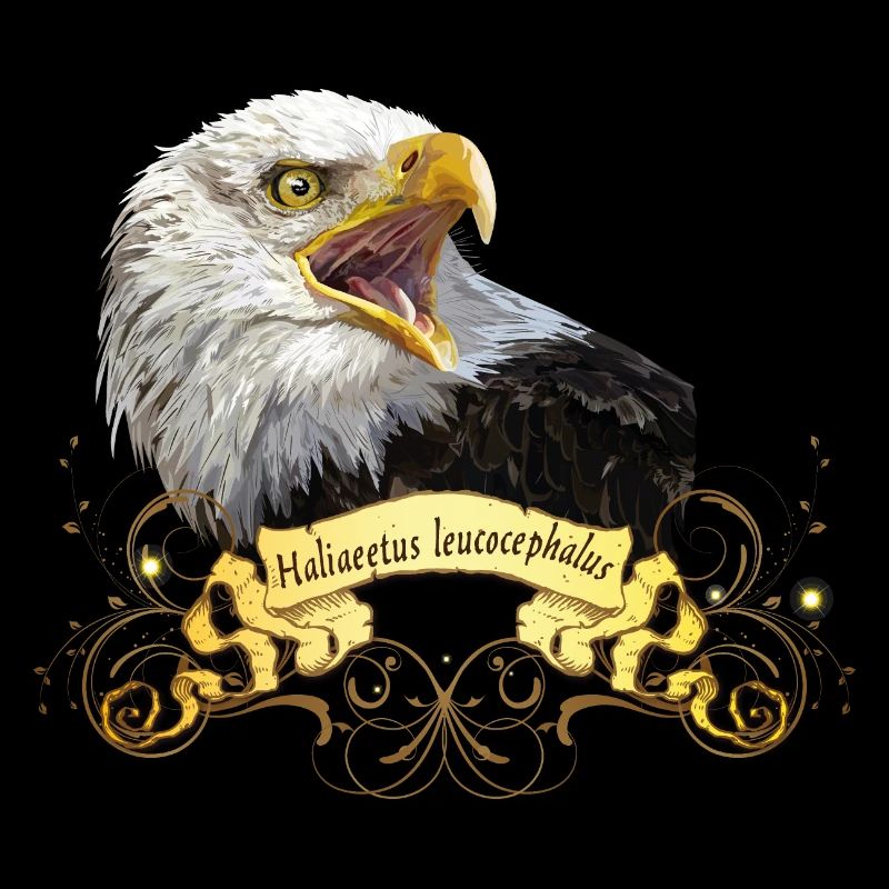 Bald eagle