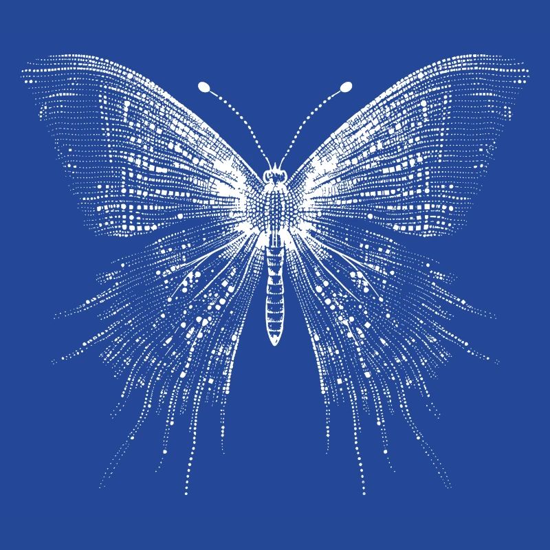 Papillon en code Ascii