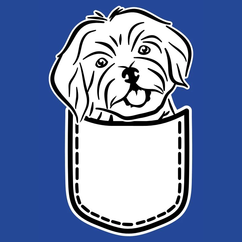 Havanese
