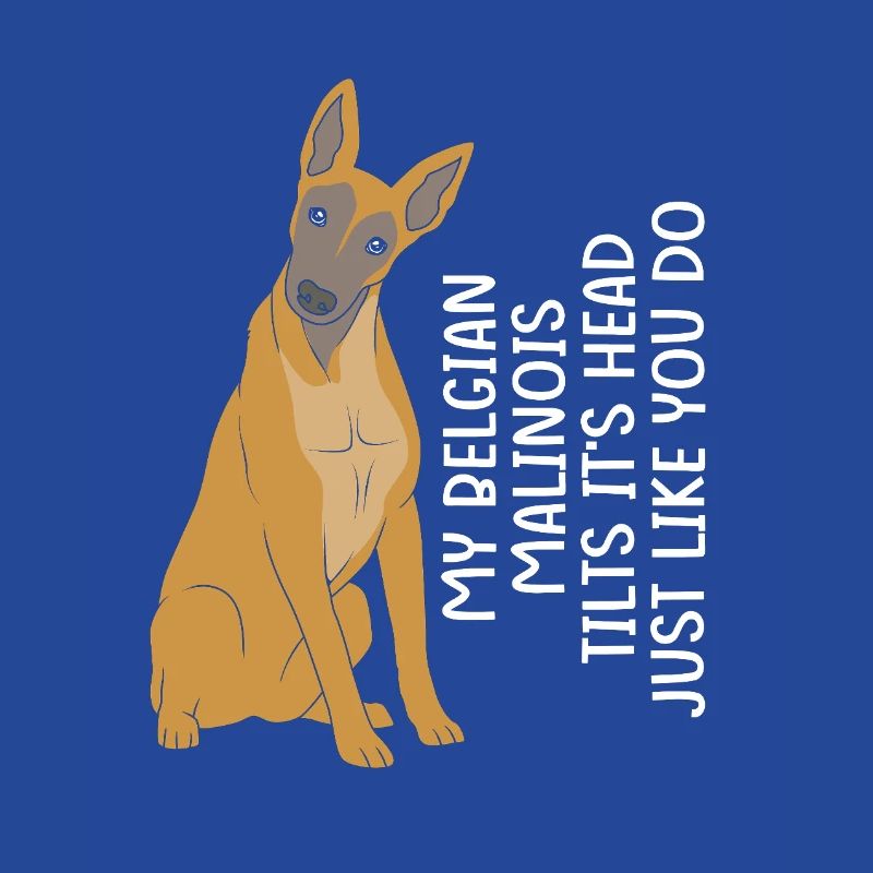 Belgian Malinois