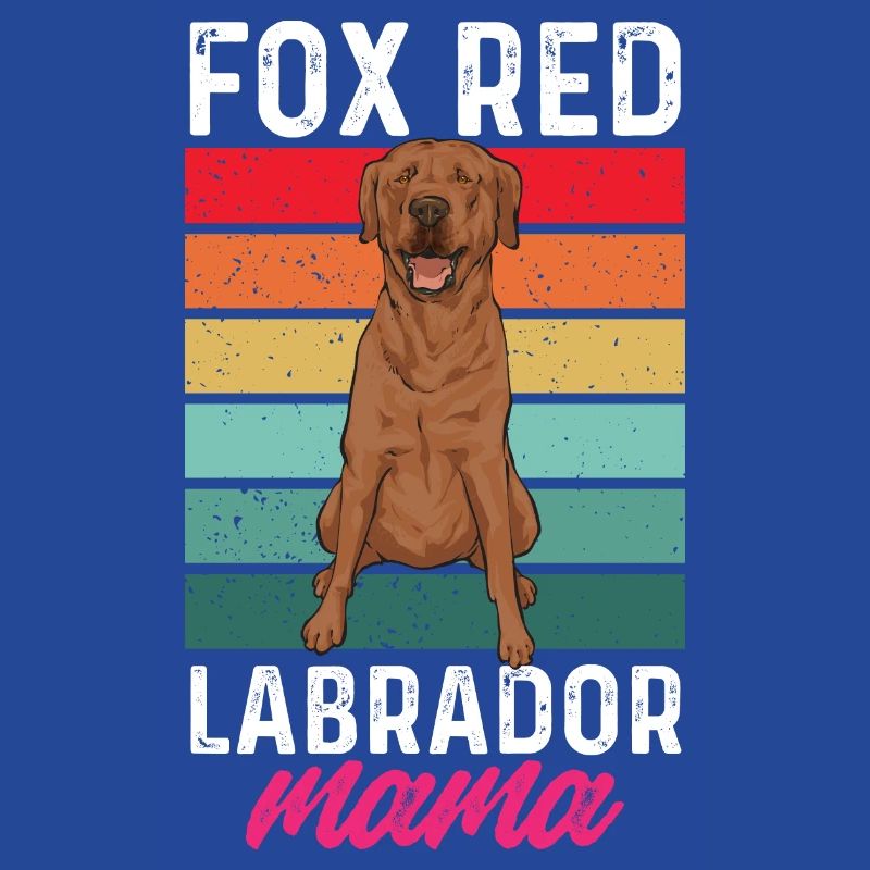 Foxred Labrador Fox Red Labrador Retriever