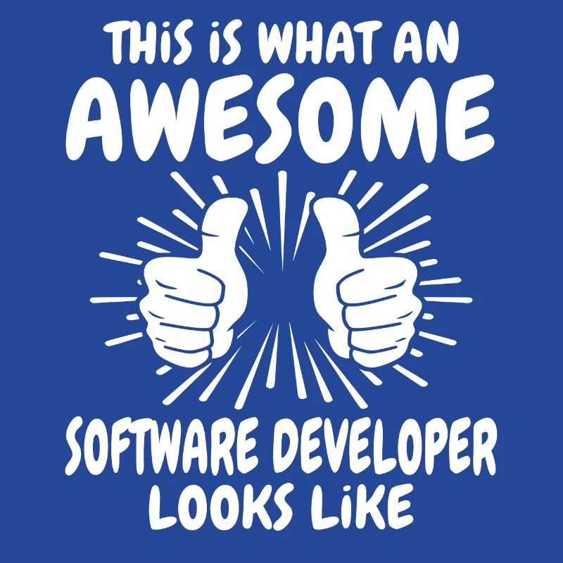 Software Developer