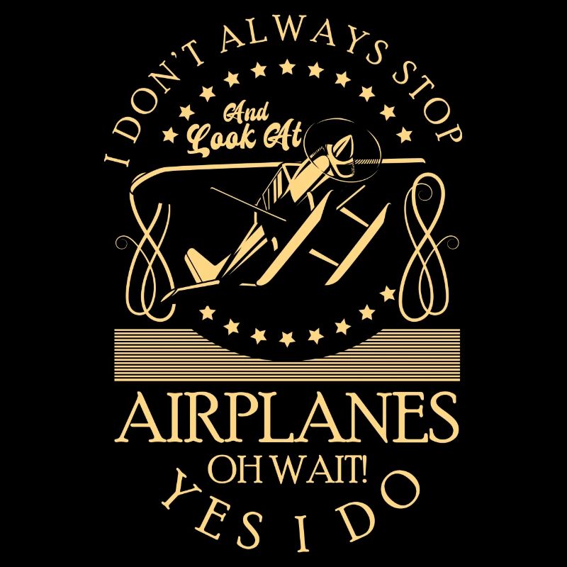 Model Airplane Hobby Pilot Model