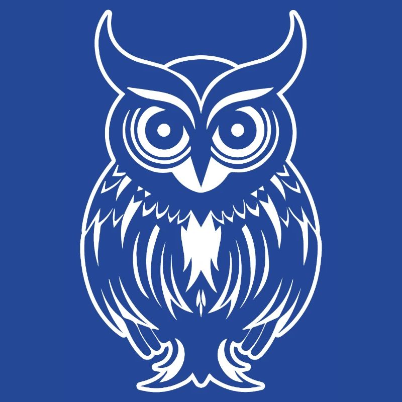 Eule Eulen Vogel Vögel