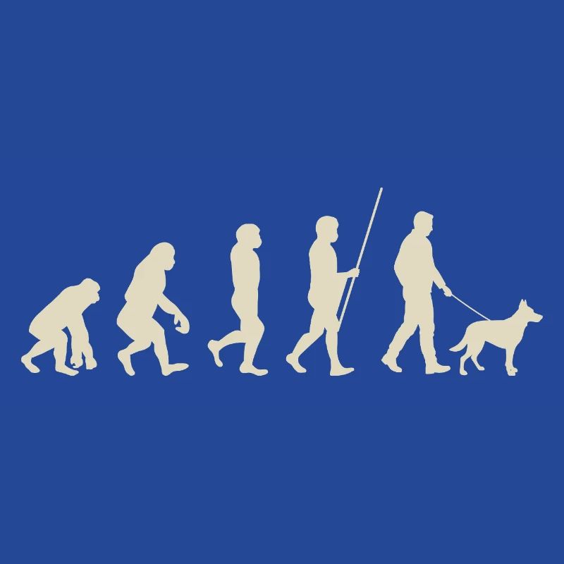 Illustration de l’évolution de l’humanité