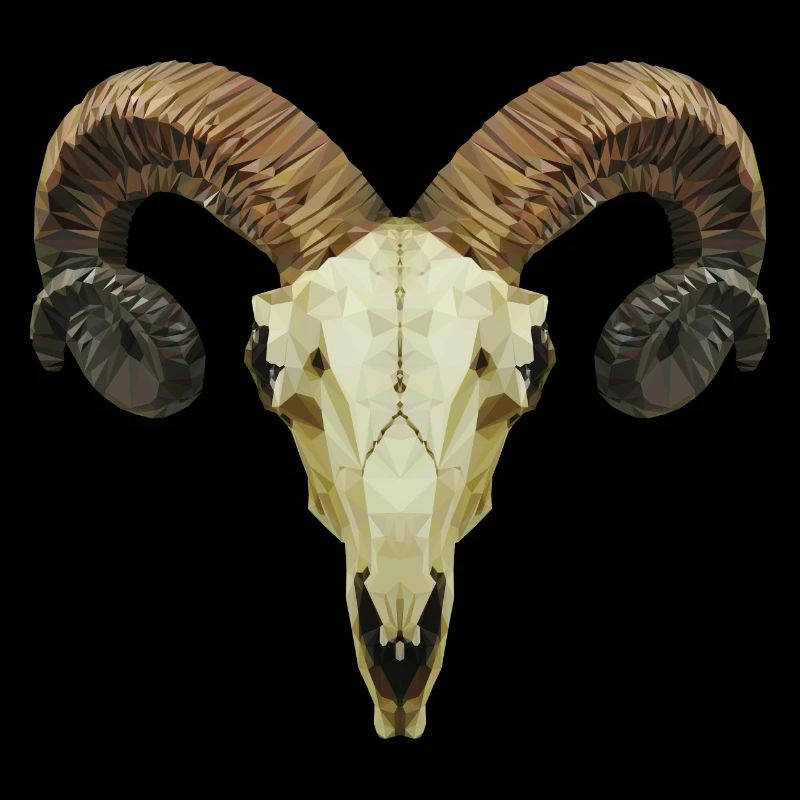Widderschädel