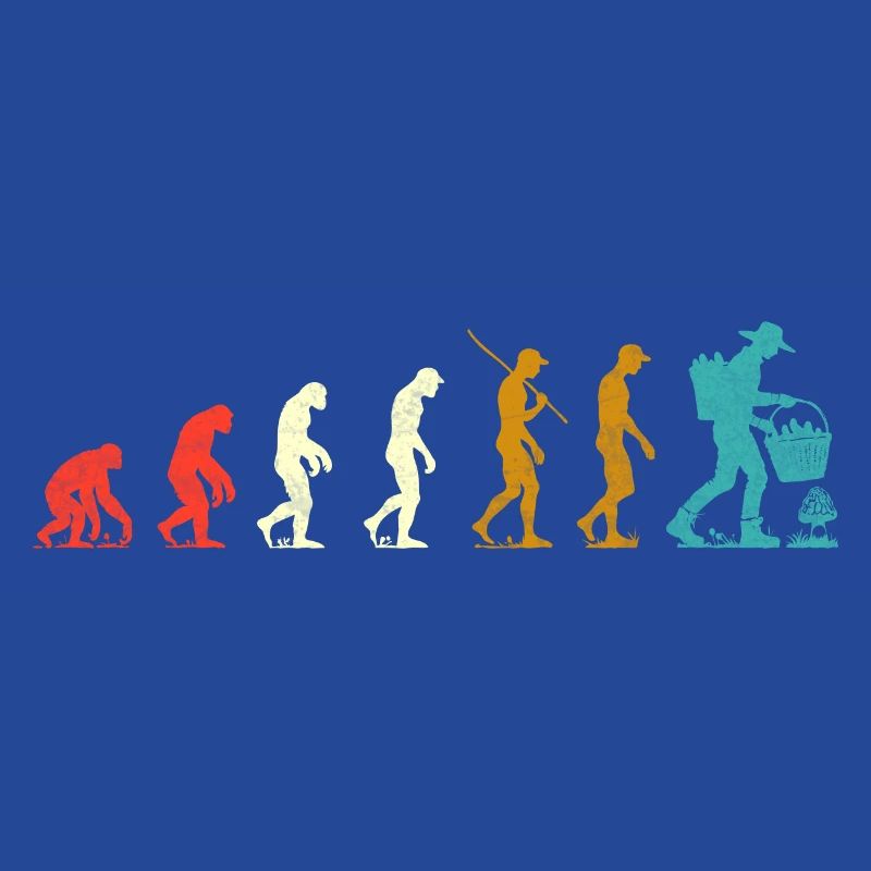 Evolution der Morcheln
