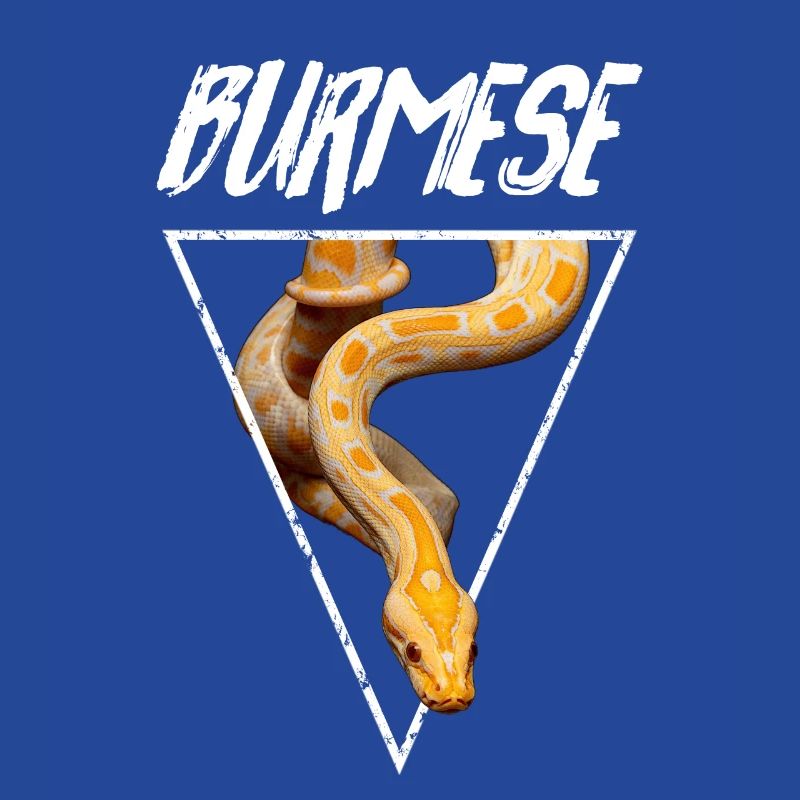 Propriétaire de serpent Python birman