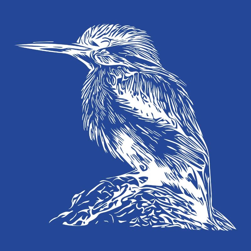 Süsser Eisvogel am Fluss