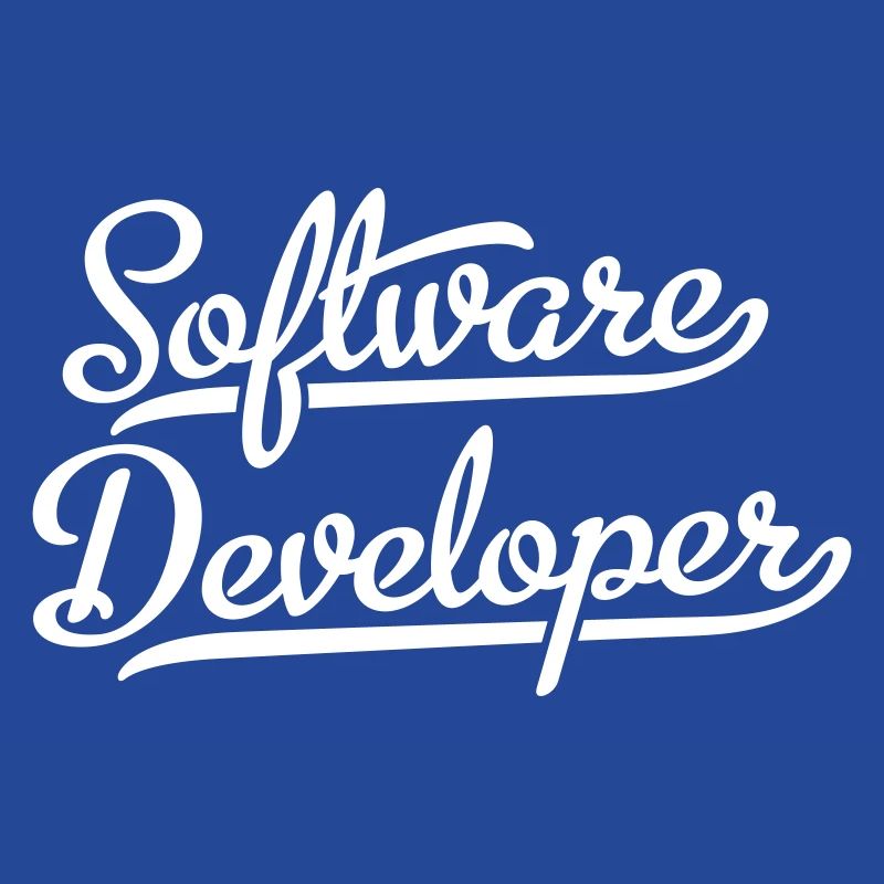 Software Developer