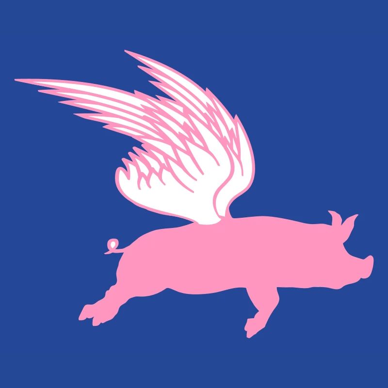 When Flying Wings Flying Pigs Can Fly