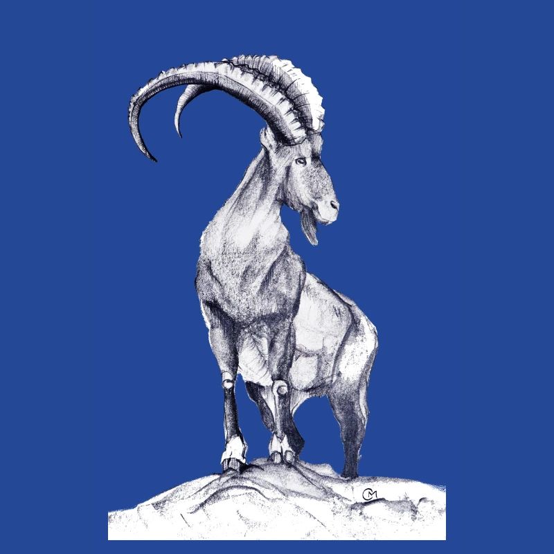 Steinbock