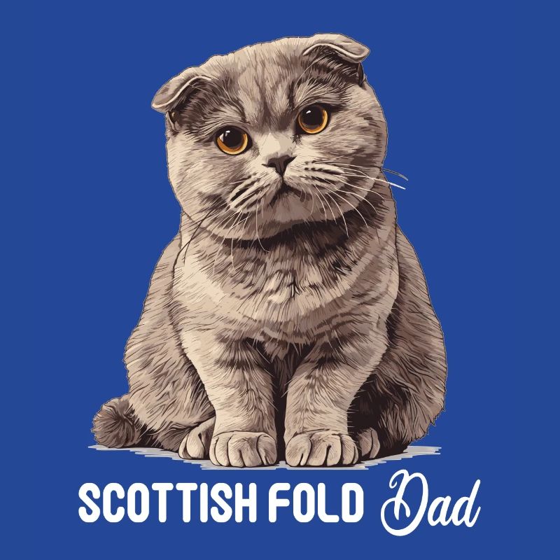 Scottish Fold Kitten Scottish Fold Cat