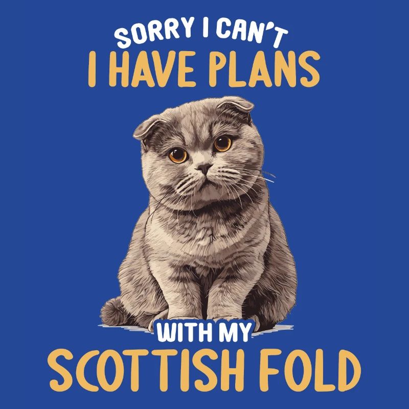 Scottish Fold Kitten Scottish Fold Cat