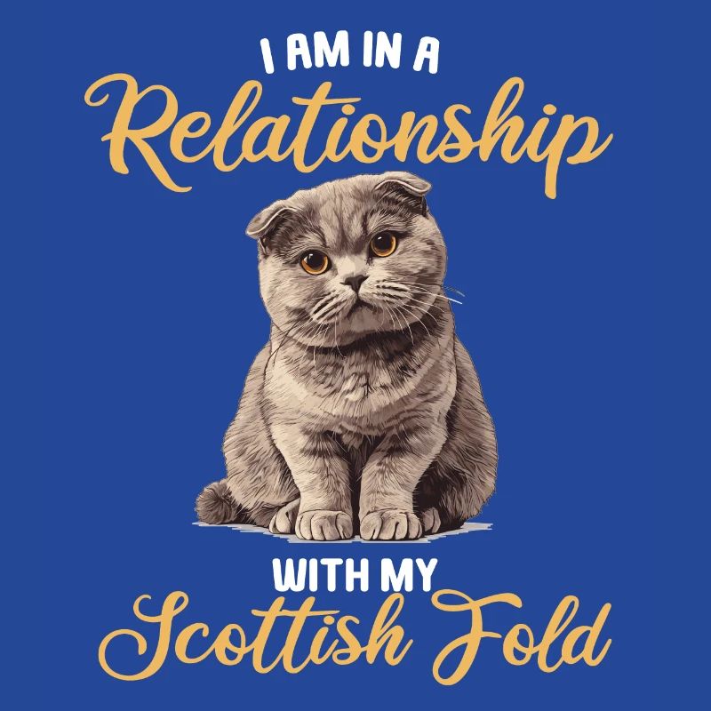 Scottish Fold Kitten Scottish Fold chat