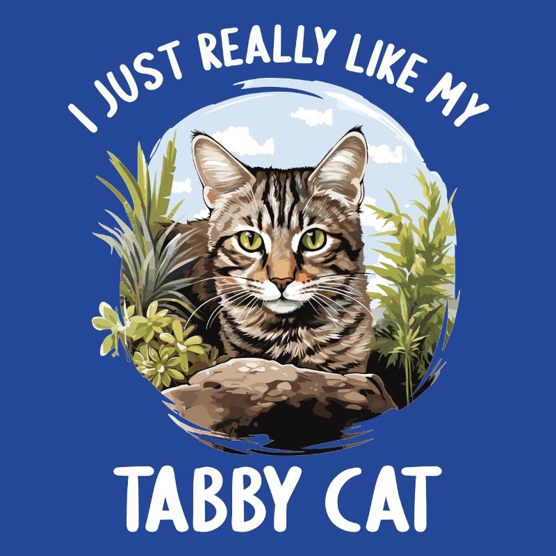 Tabby Kätzchen Tabby Katze