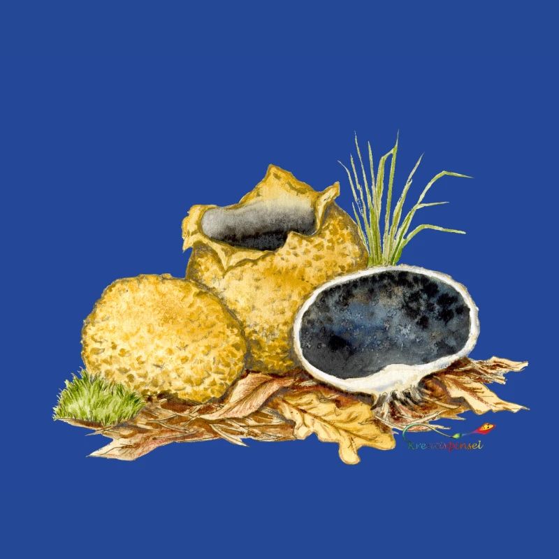 Potato bovist (Scleroderma citrinum)