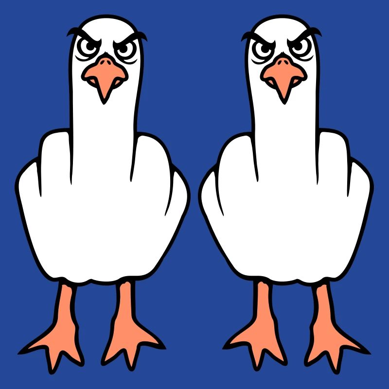 2 Möwen Mittelfinger Beleidigung Stinkefinger Team