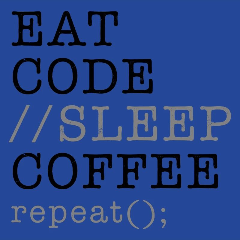 Informatique Python Programmeur Manger Code Sommeil