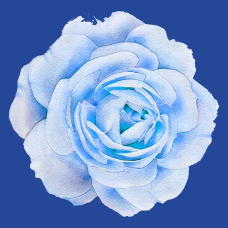 4FEF9AA9 BD30 444D 8897 44D2529F0FFE