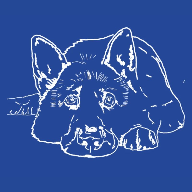 Schäferhund