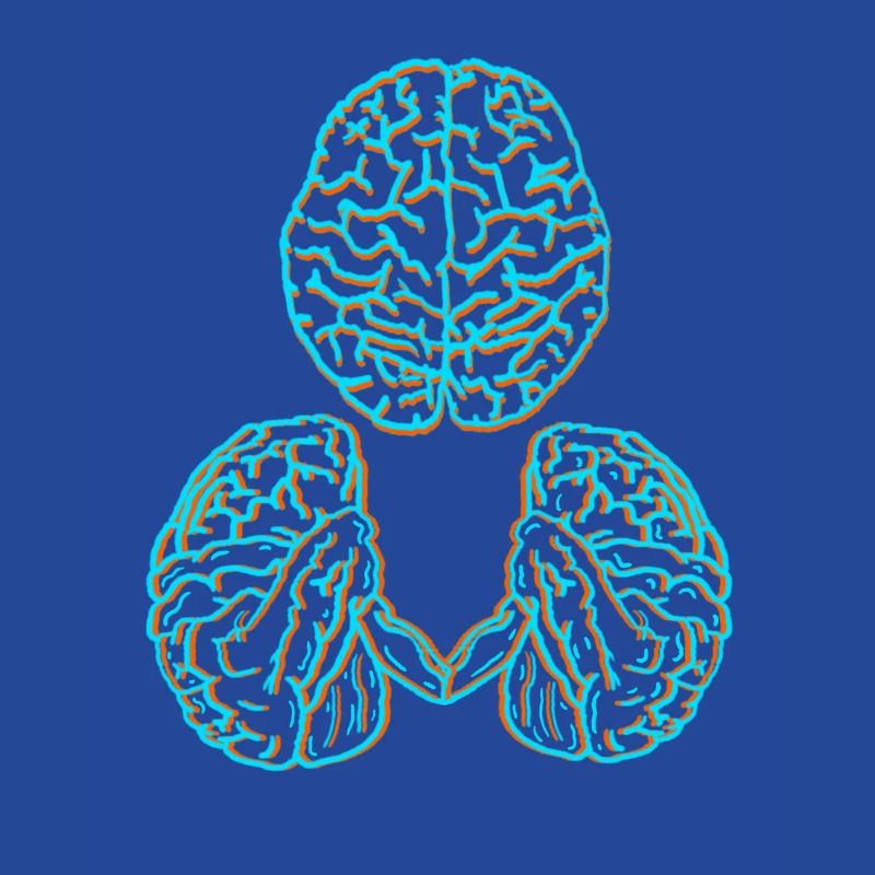 Brain