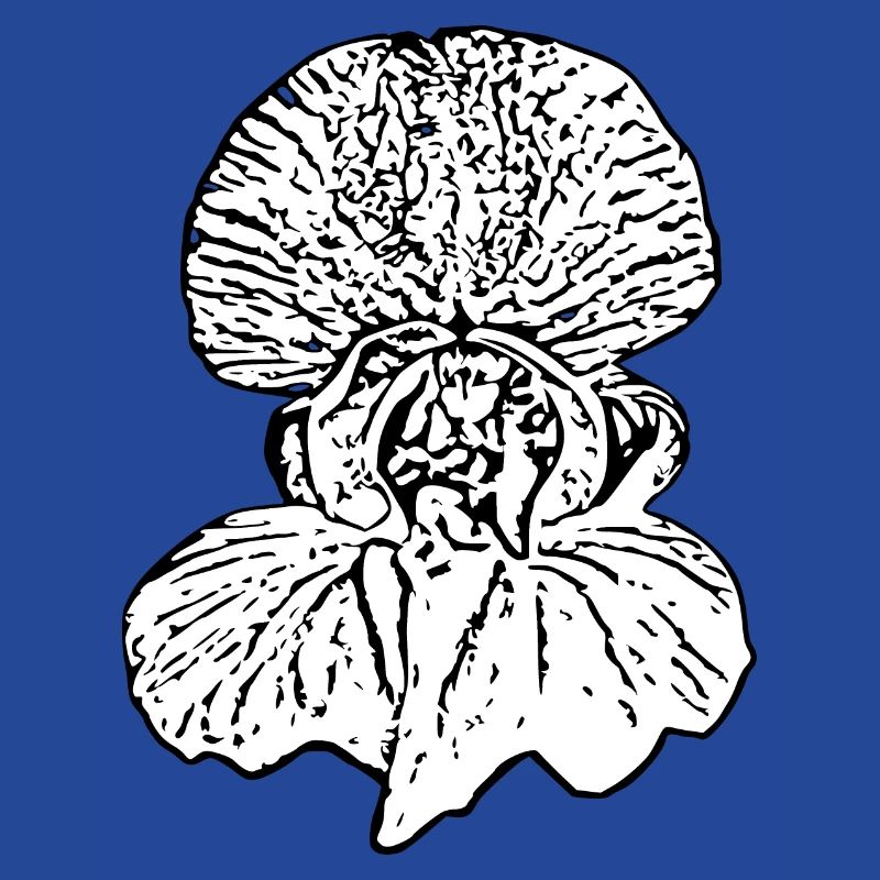 Muttertags Geschenk Mutter Muttertag Geschenkidee 