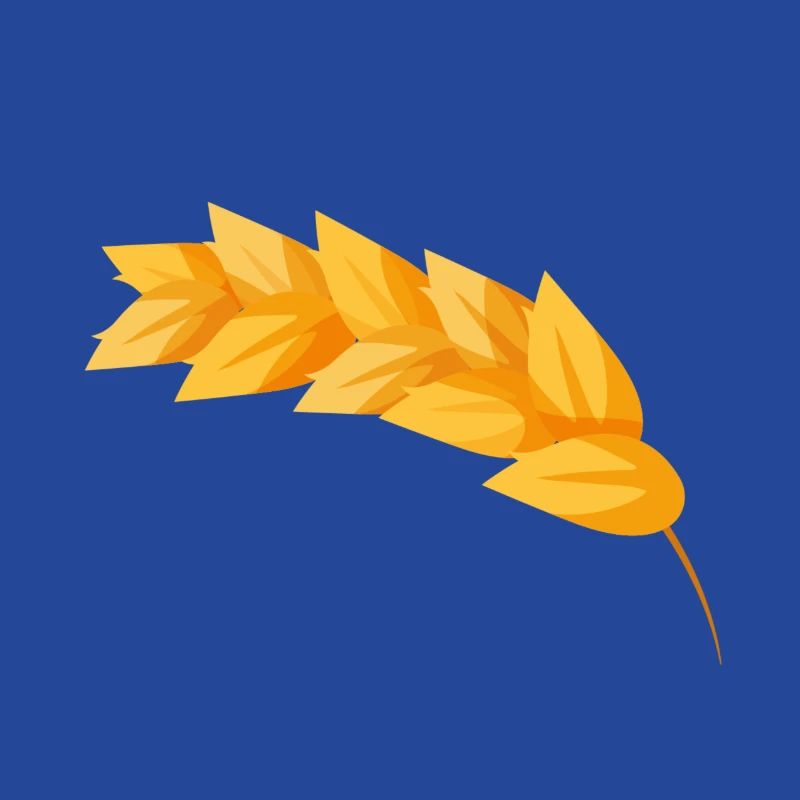 Corn grain corn