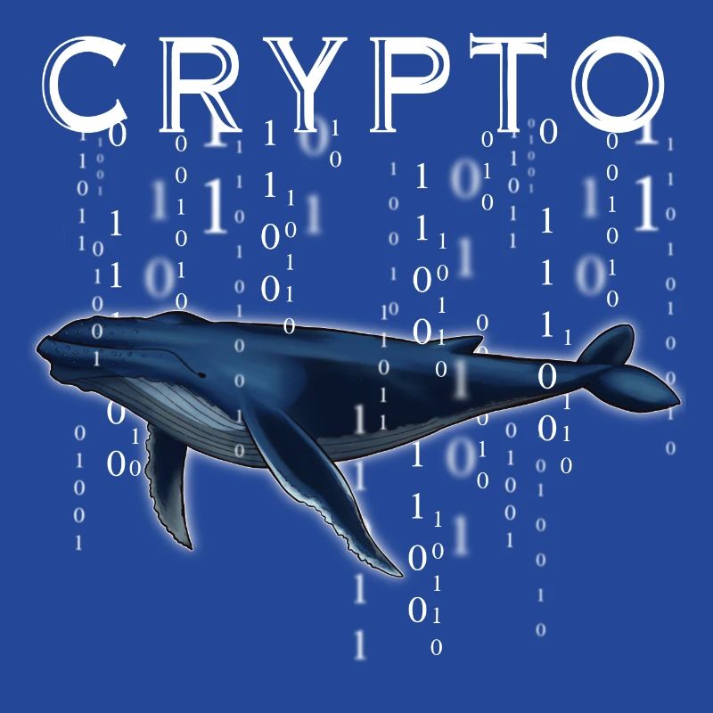 Crypto Wal Krypto Geschenk Idee