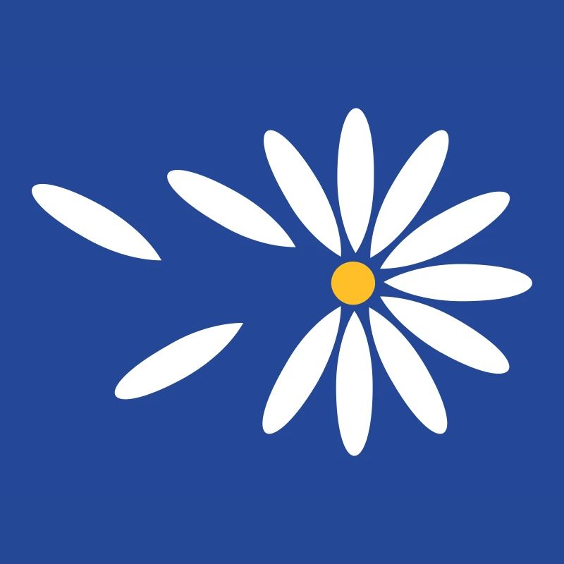 Gänseblümchen-Orakel / daisy oracle (2c)