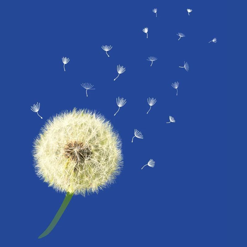 Pusteblume wünsch dir was