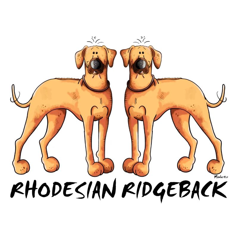 Rhodesian Ridgeback Duo