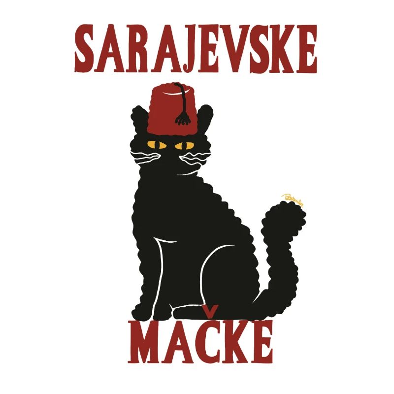 Chat Sarajevo Fez