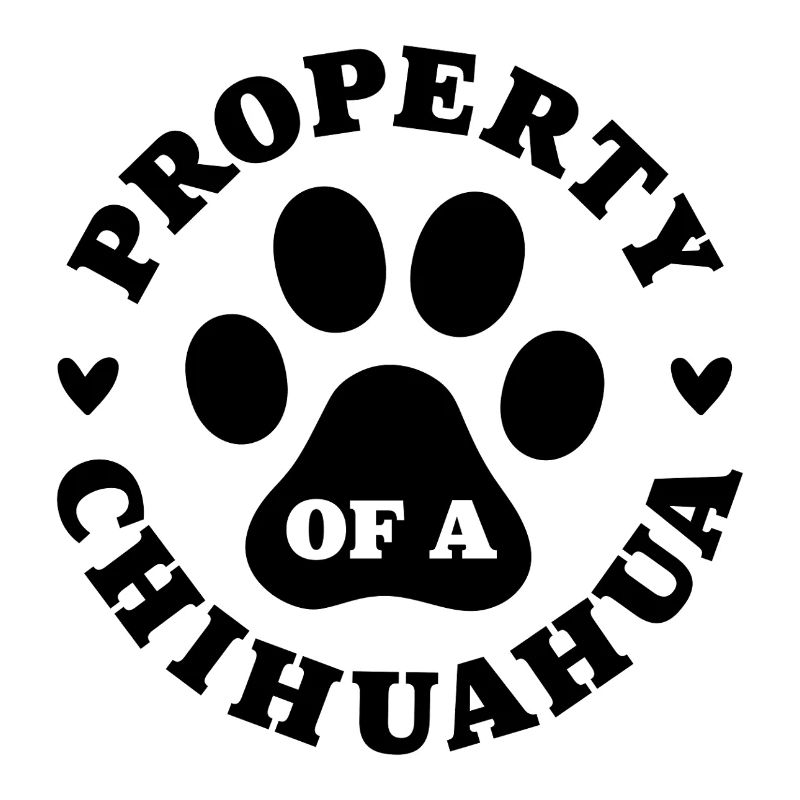 Eigentum eines Chihuahua