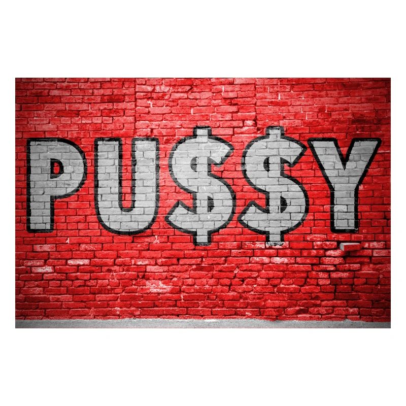 Pussy with Dollar Signs $ Brick Wall Graffit