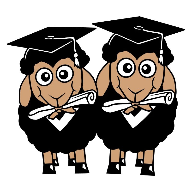 2 Sheep Certificate College Abi Two Students Team