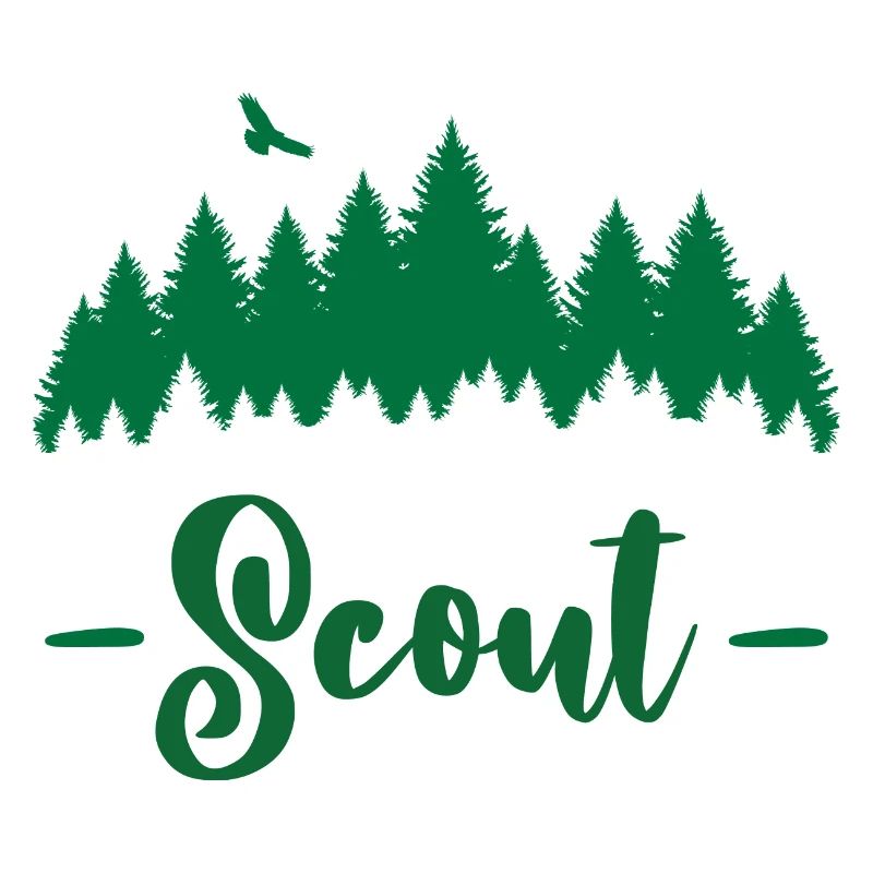 Scout / Scouting