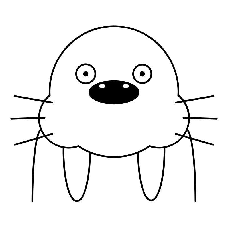 Walrus