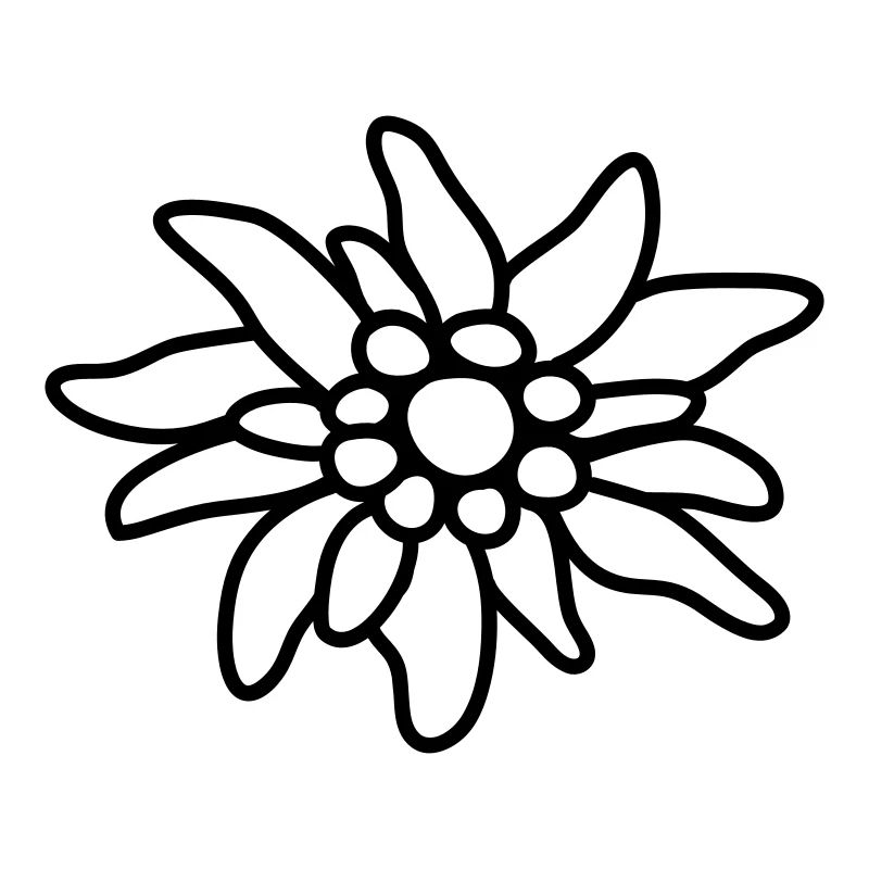 Edelweiss
