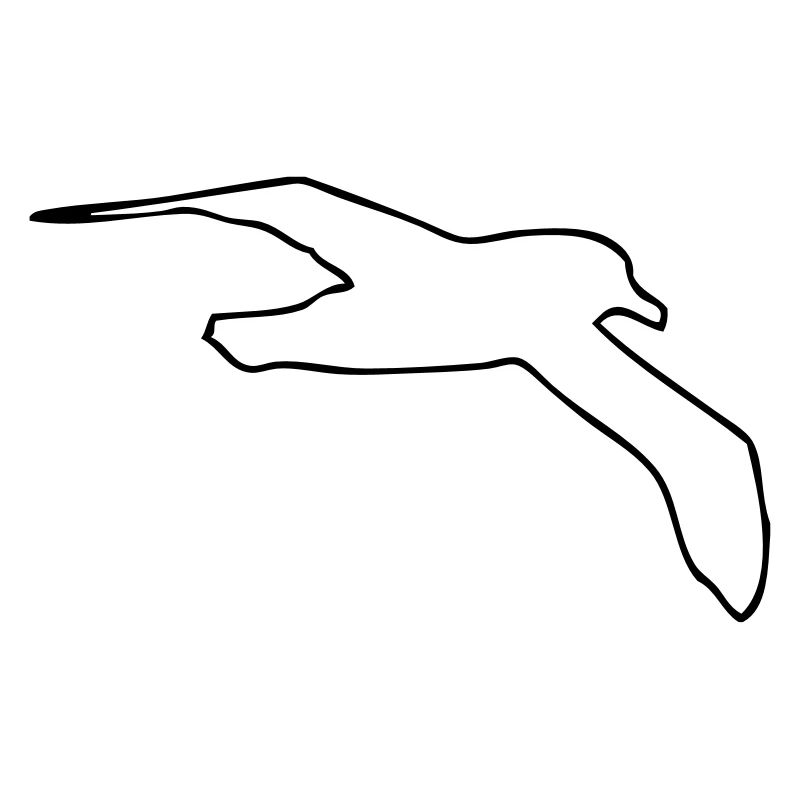Möwe