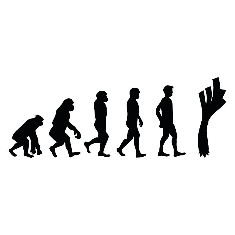 Leek evolution