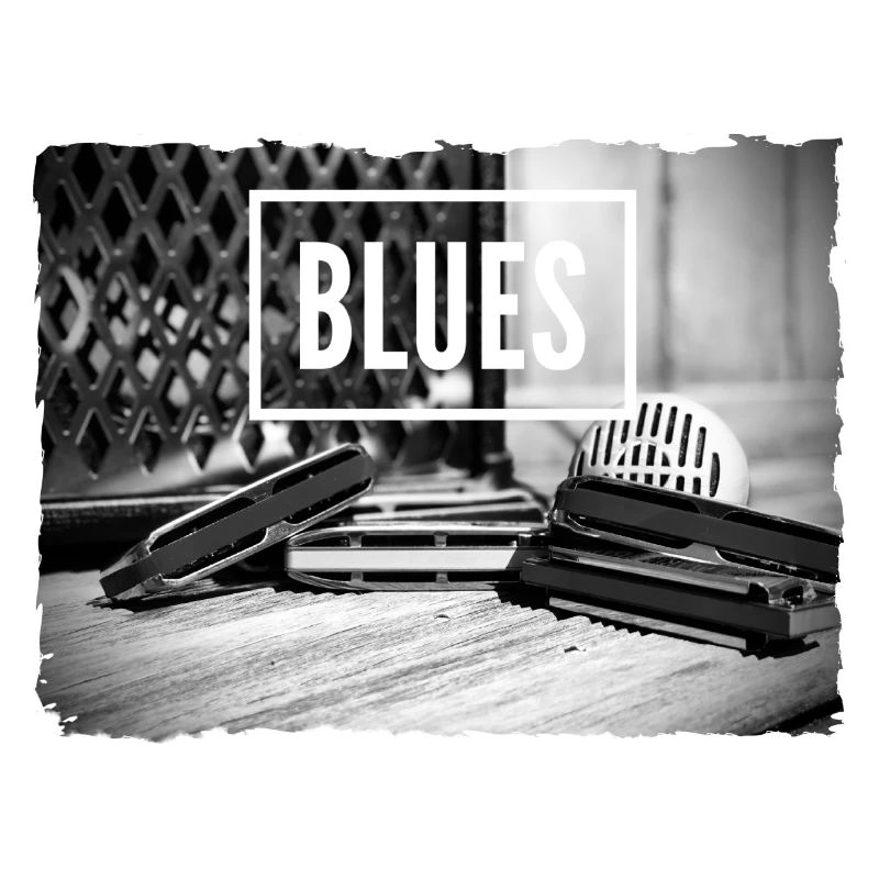 Blues harmonica for harmonica player