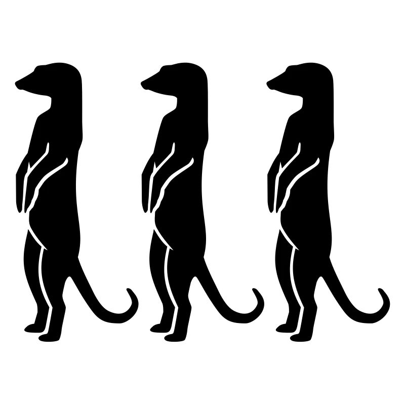 Erdmännchen
