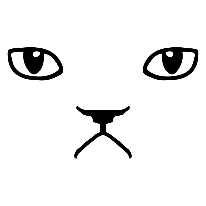 chat pas content grumpy kitty cat