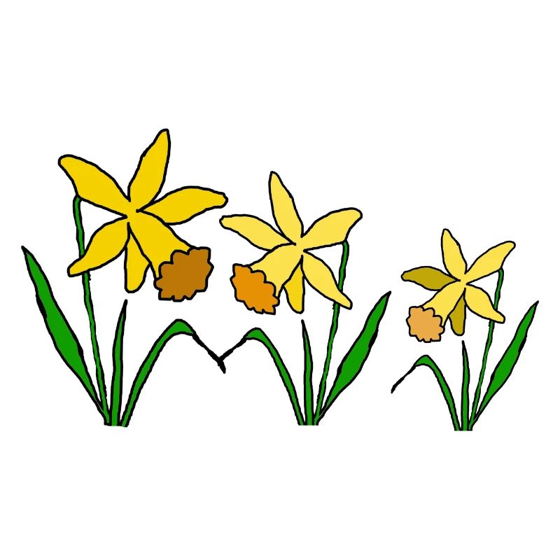 Daffodil Flowers Spring