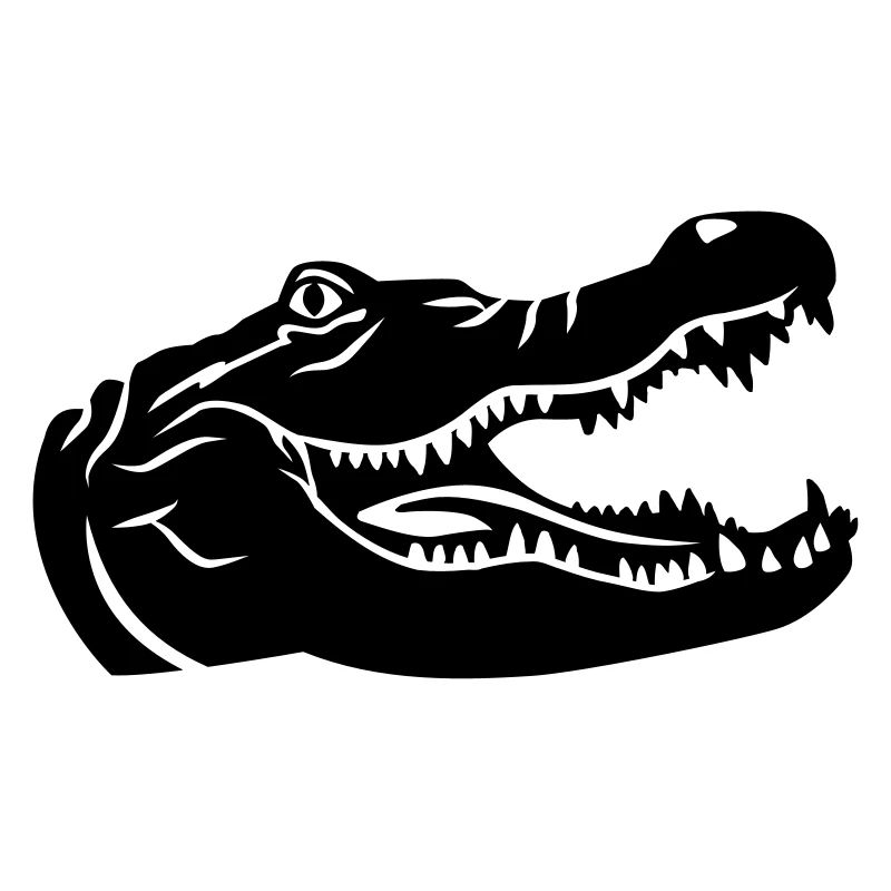 Crocodile