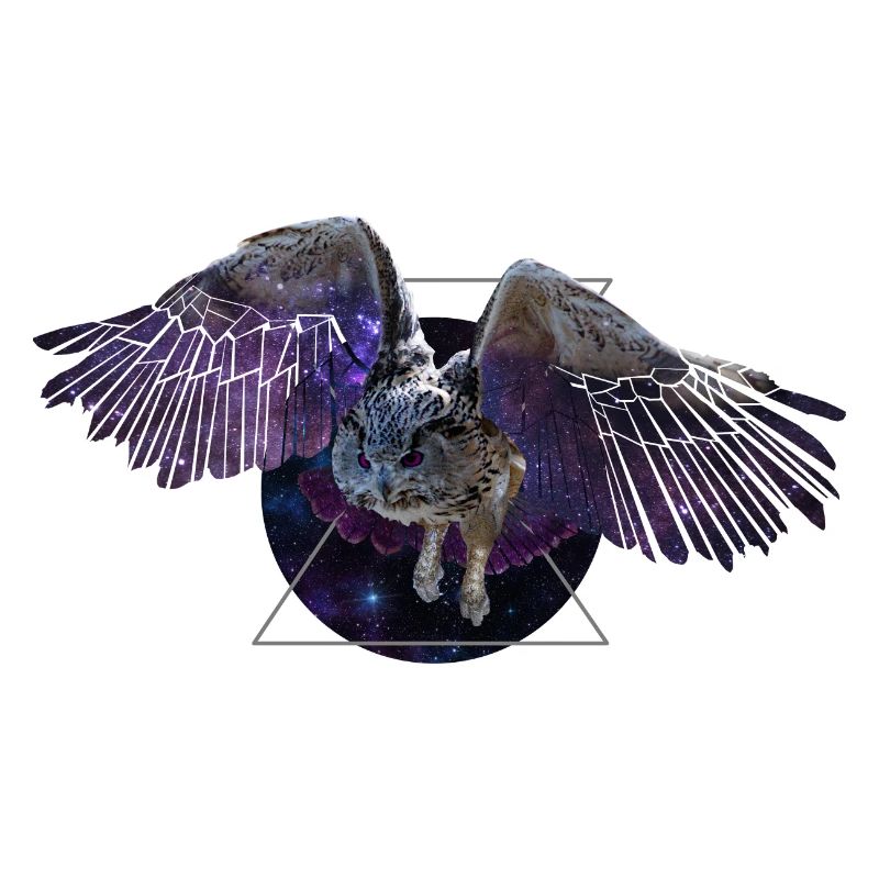 Hibou de l’espace