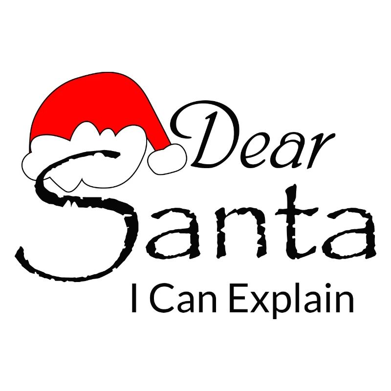Dear Santa I Can Explain