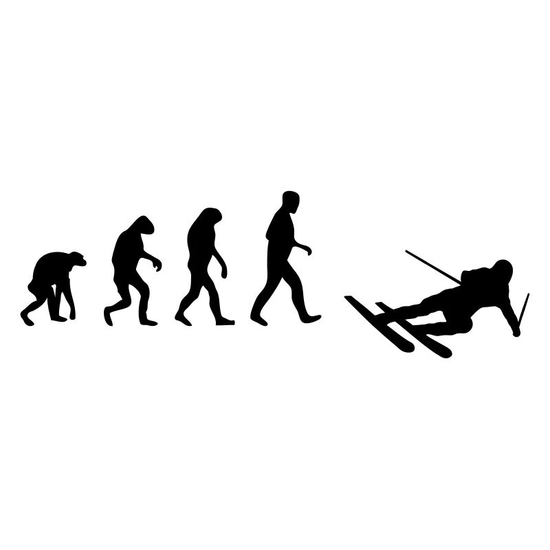 ski evolution